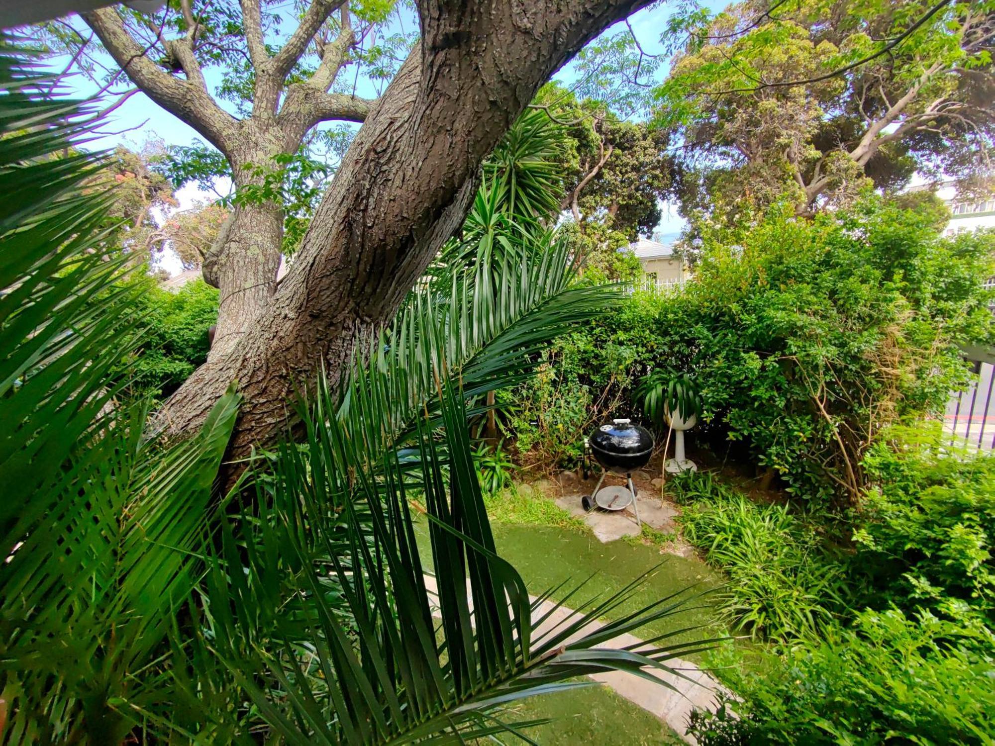 Swiss Cottage Guest House Κέιπ Τάουν Εξωτερικό φωτογραφία